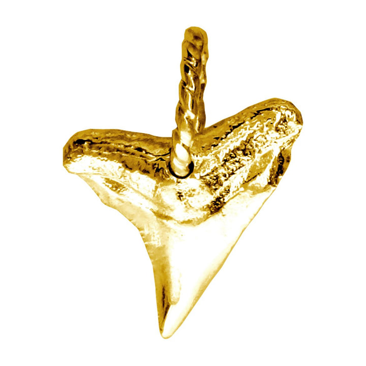 Small Shark Tooth Charm in 14k Yellow Gold