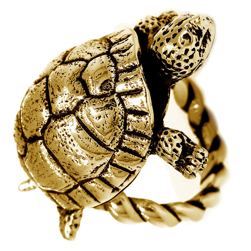 42mm Turtle Rope Ring with Black in 14k Yellow Gold