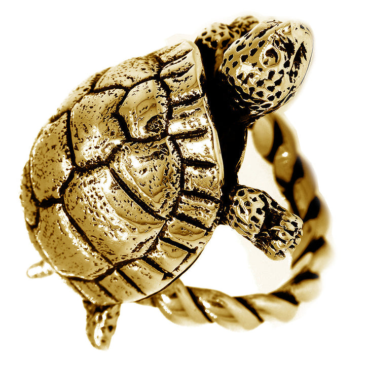 42mm Turtle Rope Ring with Black in 14k Yellow Gold