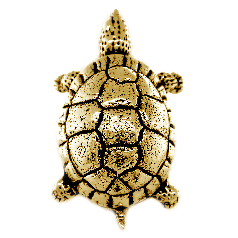 42mm Turtle Rope Ring with Black in 14k Yellow Gold