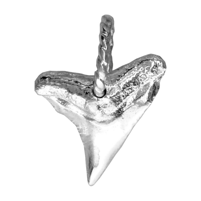 Small Shark Tooth Charm in Sterling Silver