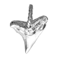 Small Shark Tooth Charm in 14k White Gold