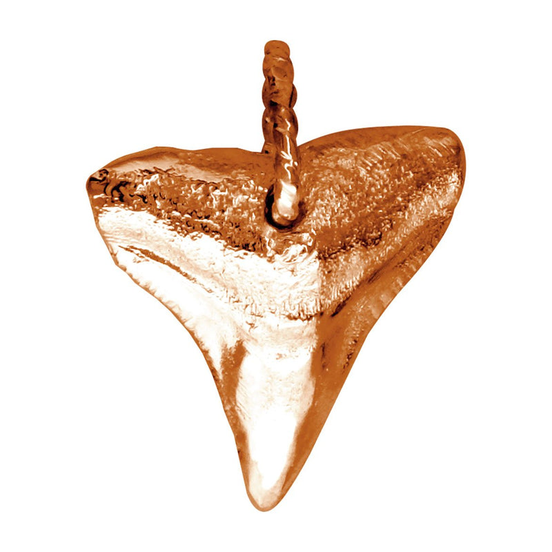 Medium Shark Tooth Charm in 14k Pink Gold