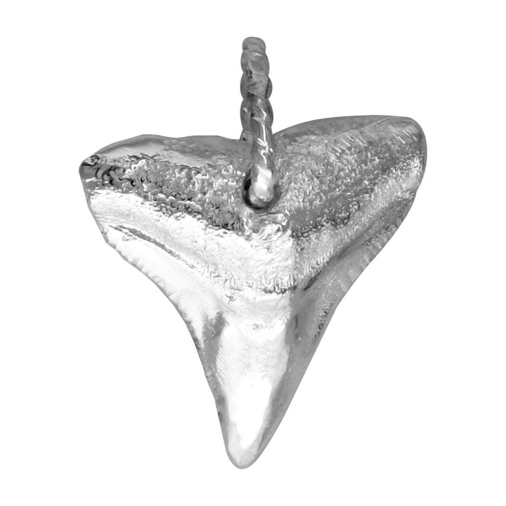 Medium Shark Tooth Charm in Sterling Silver