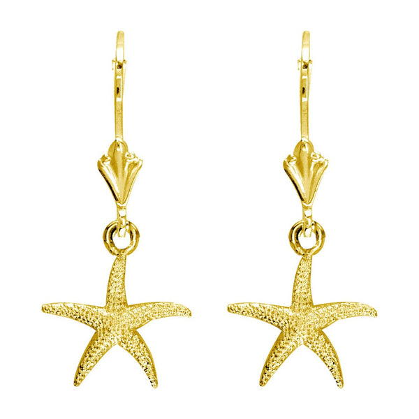 Mini Common Starfish Earrings in 14K Yellow Gold