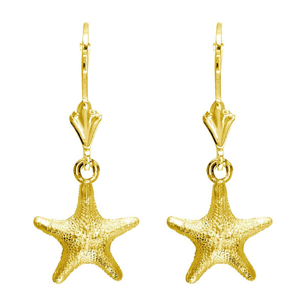 Mini Cushion Sea Star Earrings in 14K Yellow Gold
