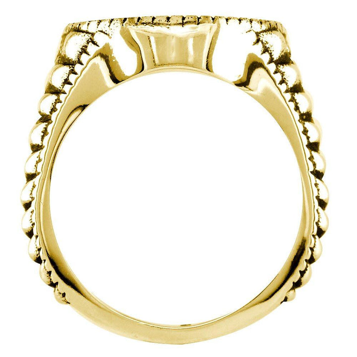 Alcoholics Anonymous AA Sobriety Ring with Cubic Zirconias, Reptile Texture, and Black in 14k Yellow Gold